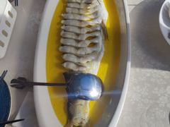 鸡汁大白鱼-食悦江南·淮扬菜·烤鸭(亚运村·惠新店)