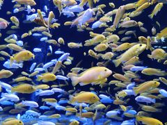 -成都浩海立方海洋公园