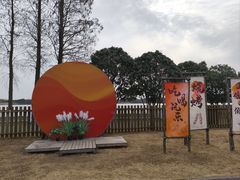 -太阳岛度假酒店