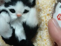 -纪念日百货(江西南昌店)