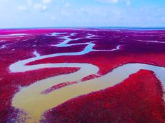 -红海滩国家风景廊道