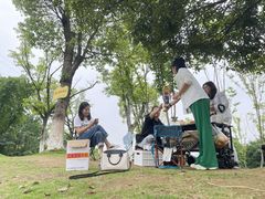 -铁山坪森林公园