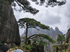 -黄山玉屏楼宾馆餐厅