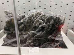 -浙江自然博物院(杭州馆)