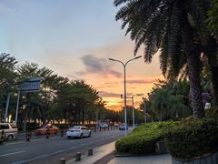 -小海豚•老字号海鲜餐厅(天涯店)