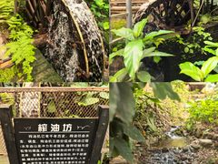 -青青世界