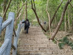 -紫金山山顶公园