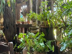 -自然餐厅(Phuket)