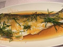 黄贡椒大白鱼-盛百味·家宴餐厅(霸州分店)