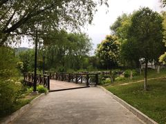 -函谷关历史文化旅游区