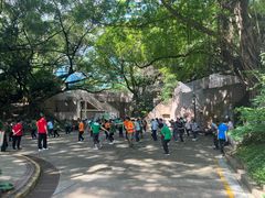 -九龙公园