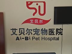 -艾贝尔宠物医院 ·内科全科(梁溪路店)