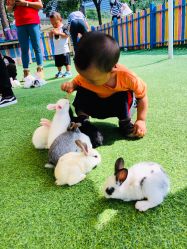 -萌宠亲子动物乐园(槐房万达店)