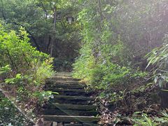 -杭州半山国家森林公园