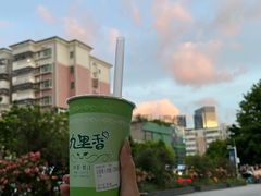 -九里香奶茶果汁(碧湖店)