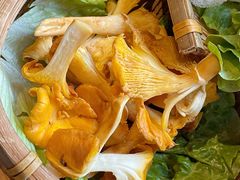 -滇野云南野生菌餐厅(陕西南路店)