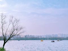 -洋湖国家湿地公园