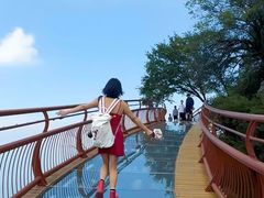 -少华山国家森林公园