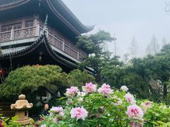 -龙华寺