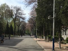 -北京邮电大学