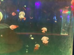 -苏州海洋馆