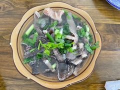 -小杨翘脚牛肉