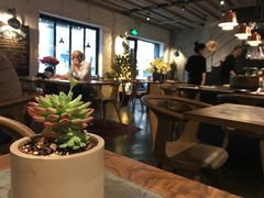 -Apollo·西班牙小酒馆(安福路店)