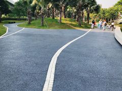 -宝安西湾红树林湿地公园