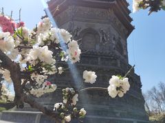 -玲珑塔公园