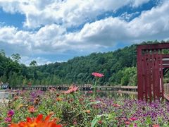 -神光山国家森林公园