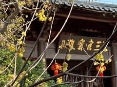 -广富林郊野公园