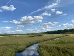 -塞罕坝国家级自然保护区