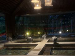 -中家鑫园温泉酒店鑫悦汤泉