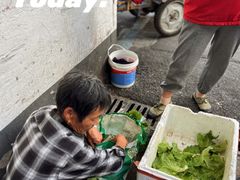 -乌镇农贸市场