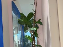 -天真蓝照相馆(杭州滨江宝龙店)