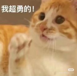 -玛奇朵婚纱摄影