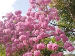 -艾溪湖湿地公园