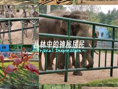 -秦皇岛野生动物园