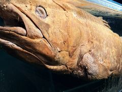 -国家自然博物馆