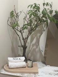 -唯奈斯肌肤管理中心