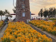 -玫瑰海岸文化旅游度假区