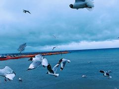 -青海湖二郎剑景区