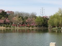 -荆川公园