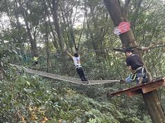 -衢州大荫山丛林飞越探险乐园