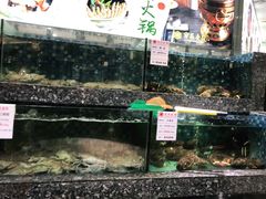 水产区-宝燕壹号(徐汇店)
