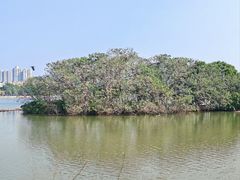 -海珠湖公园