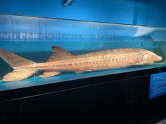 -国家自然博物馆