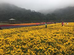 -广州市石门国家森林公园