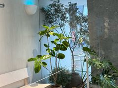 -喜茶(珠海华发商都店)