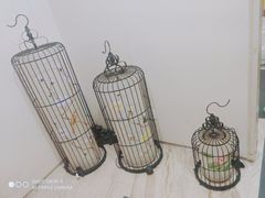 -御池园(顾村公园店)
